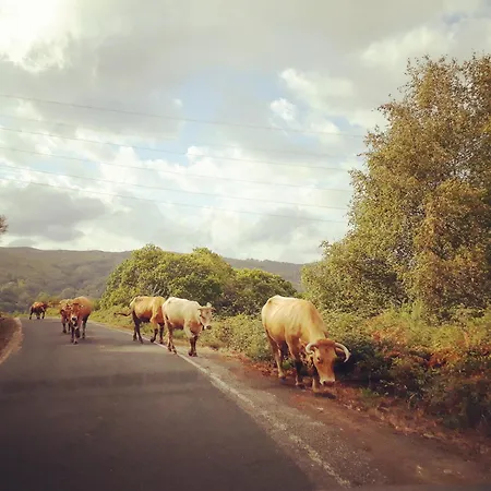 El Valle *